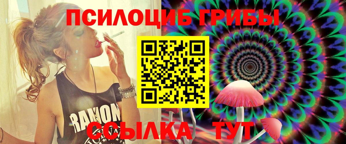 Протвино  купить   Вход с VPN  Псилоцибиновые грибы Psilocybine cubensis  Псилоцибиновые грибы Psilocybine cubensis 